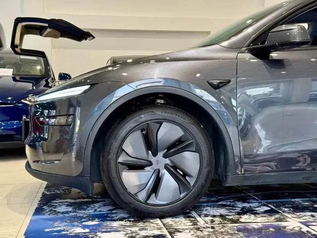 Tesla Model Y — Фото автомобиля 10