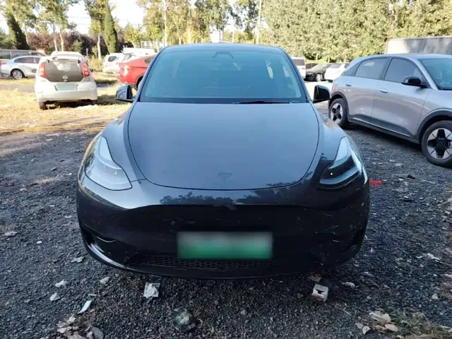 Tesla Model Y — Фото автомобиля 2