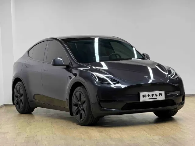 Tesla Model Y — Фото автомобиля 3