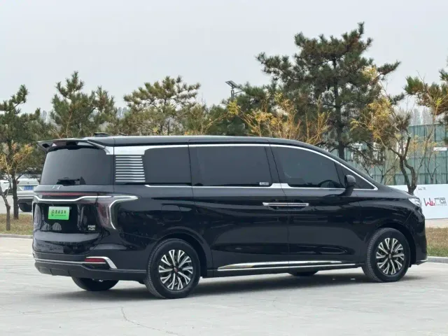 Hongqi HQ9 PHEV — Фото автомобиля 23