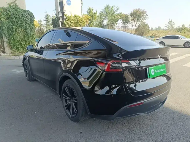 Tesla Model Y — Фото автомобиля 4