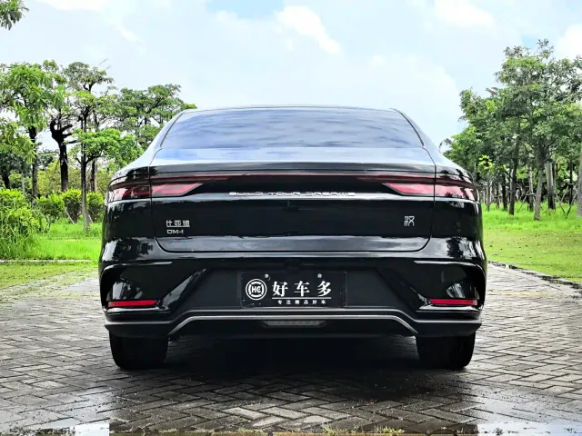 BYD Han — Фото автомобиля 6