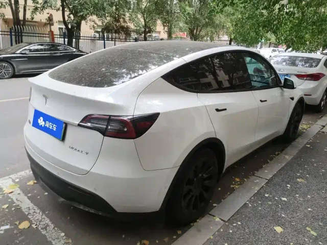 Tesla Model Y — Фото автомобиля 3