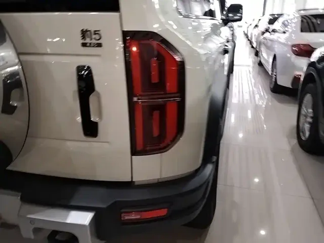 BYD FangChengBao Leopard 5 — Фото автомобиля 7