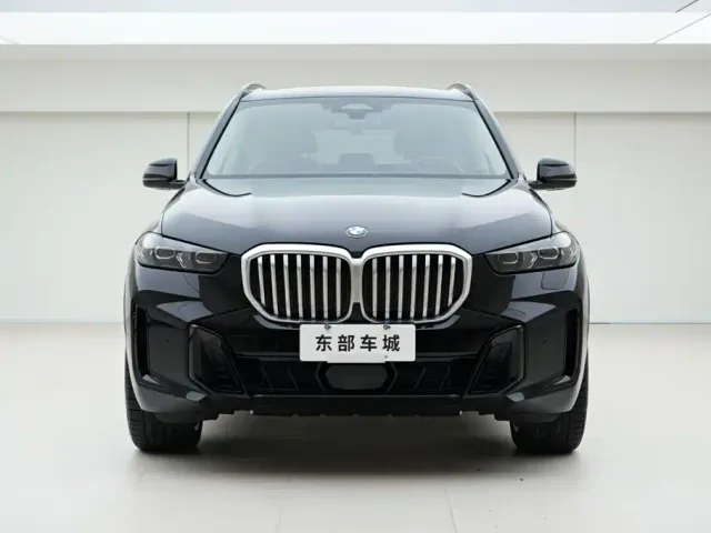 BMW X5 — Фото автомобиля 2