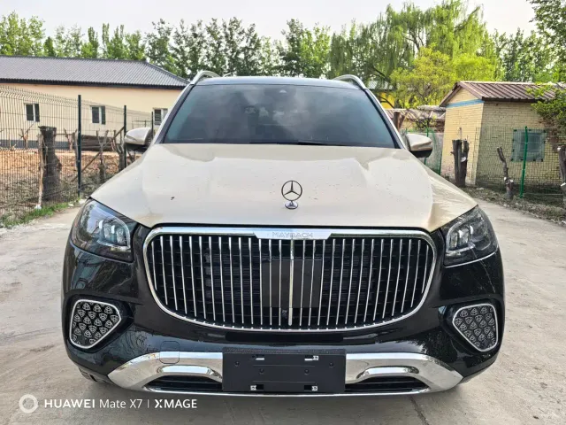 Mercedes-Benz GLS-Class — Фото автомобиля 2