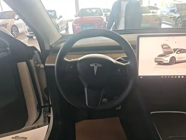 Tesla Model Y — Фото автомобиля 10