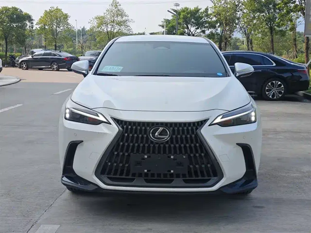 Lexus Lexus NX 2024 260 FWD Innovation Edition — Фото автомобиля 2