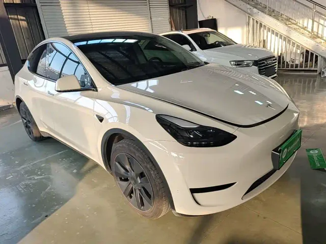 Tesla Model Y — Фото автомобиля 3
