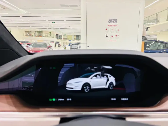 Tesla Model X 2023 Dual Motor All-Wheel Drive Edition — Фото автомобиля 6