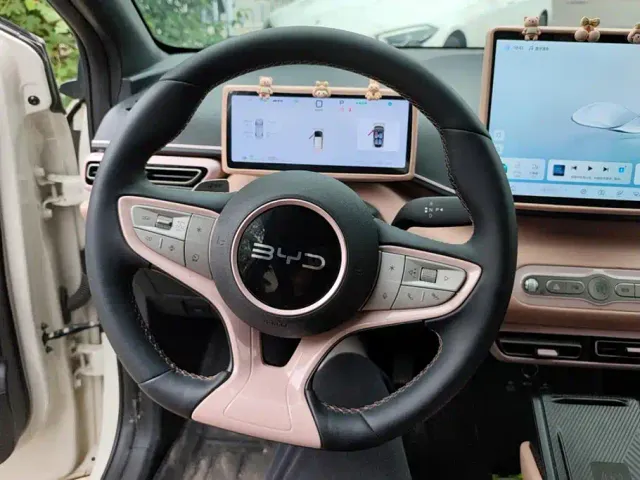 BYD Seagull — Фото автомобиля 15