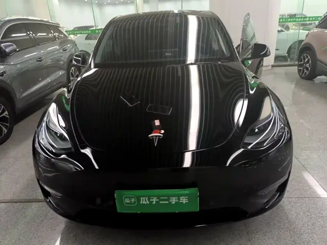 Tesla Model Y — Фото автомобиля 2