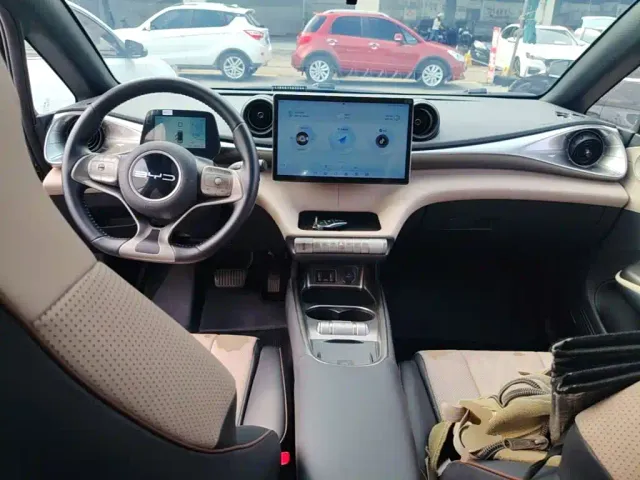 BYD Dolphin — Фото автомобиля 9