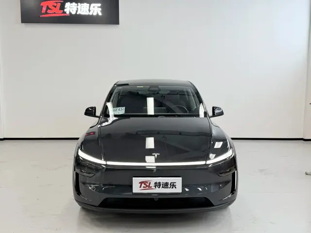 Tesla Model Y — Фото автомобиля 2