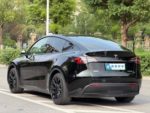 Tesla Model Y 2022 Facelift Rear-Wheel Drive Version — Фото автомобиля 6