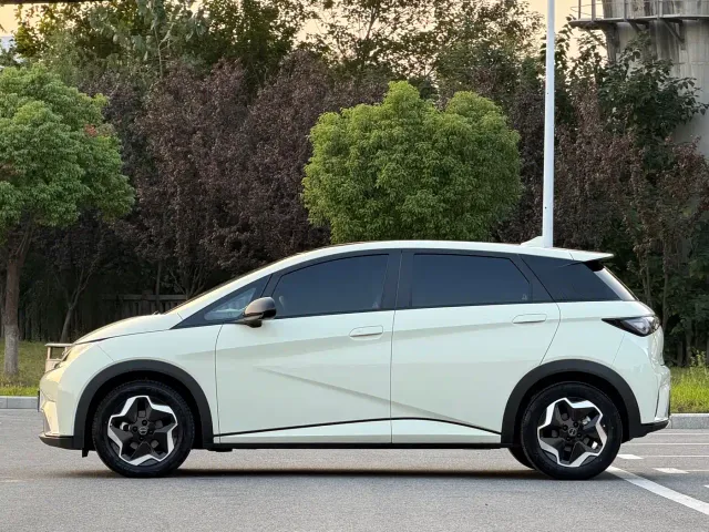 BYD Dolphin — Фото автомобиля 4