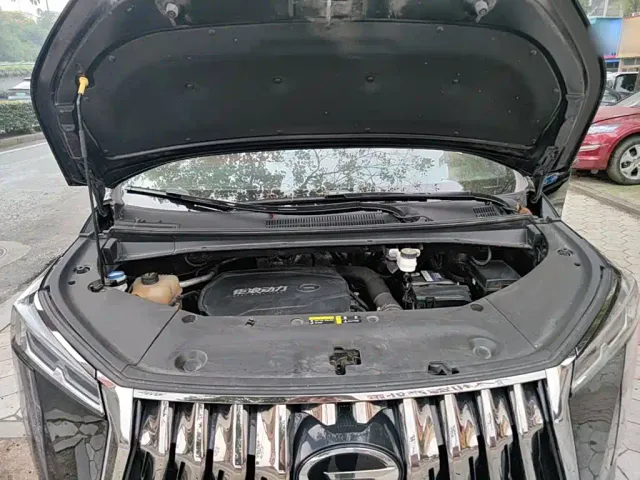 GAC Trumpchi M8 — Фото автомобиля 19