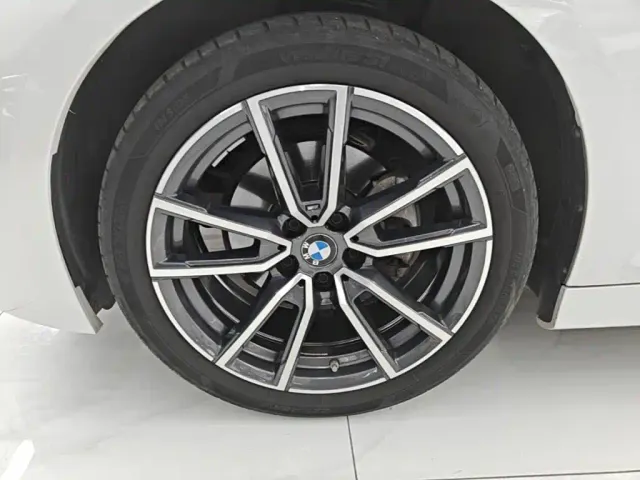 BMW 3 Series — Фото автомобиля 22