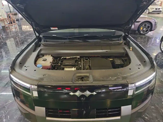 BYD FangChengBao Titanium 7 — Фото автомобиля 19