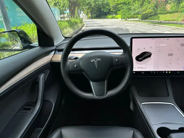 Tesla Model 3 — Фото автомобиля 10