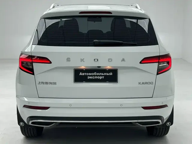 Skoda Karoq — Фото автомобиля 15
