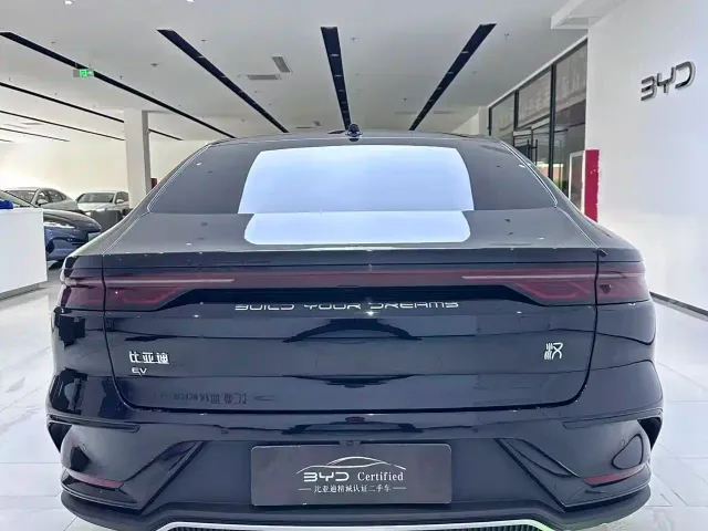 BYD Han — Фото автомобиля 10