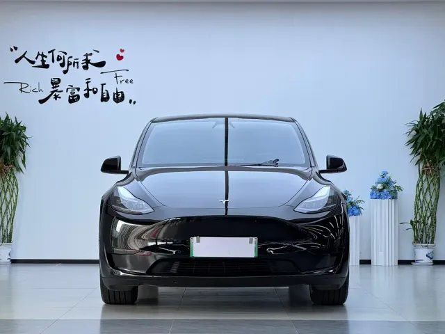 Tesla Model Y — Фото автомобиля 2