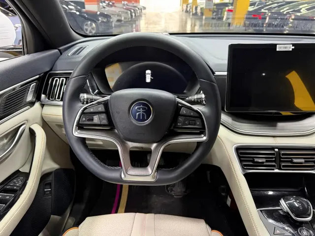 BYD Song PLUS PHEV 2021 EV Flagship — Фото автомобиля 13