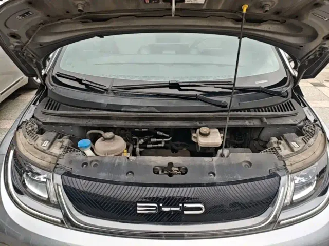 BYD Dolphin — Фото автомобиля 19