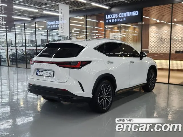 Lexus NX 2nd Gen — Фото автомобиля 2