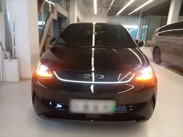 BYD Dolphin — Фото автомобиля 2