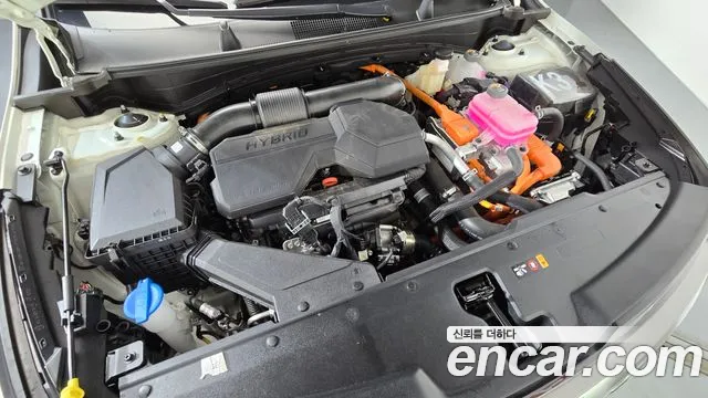 Kia Sportage — Фото автомобиля 6