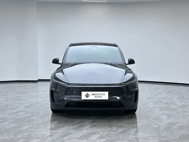 Tesla Model Y — Фото автомобиля 6
