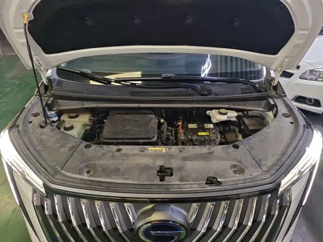 GAC Trumpchi M8 — Фото автомобиля 19