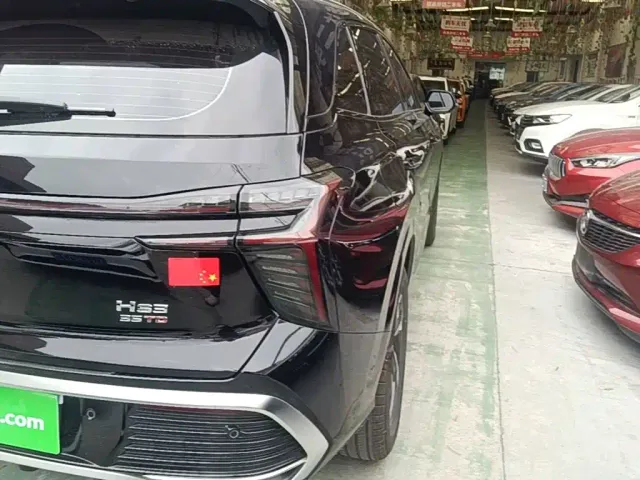 Hongqi Hongqi HS3 2024 1.5T Virtue Edition — Фото автомобиля 7