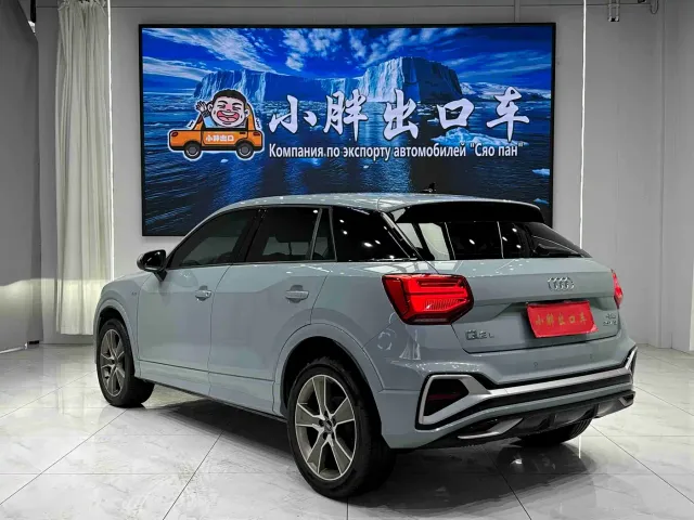 Audi Q2L — Фото автомобиля 6