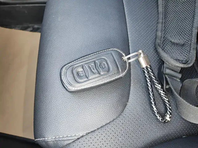 Geely Geometry EX3 Kung Fu Bull — Фото автомобиля 8