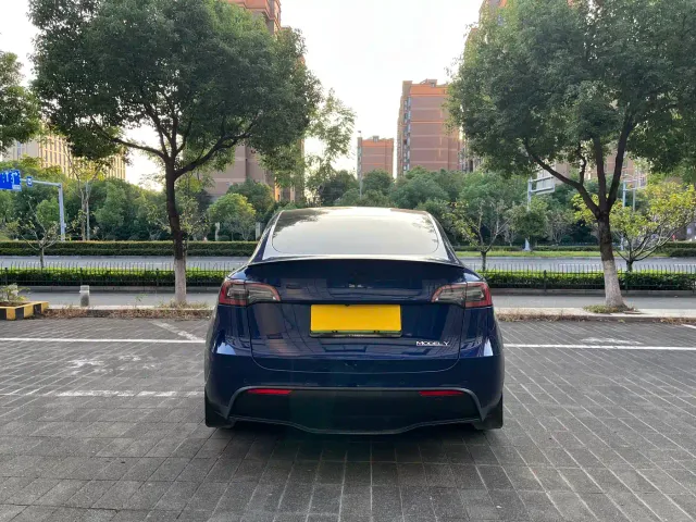 Tesla Model Y — Фото автомобиля 17