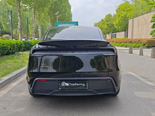 Tesla Model Y — Фото автомобиля 8