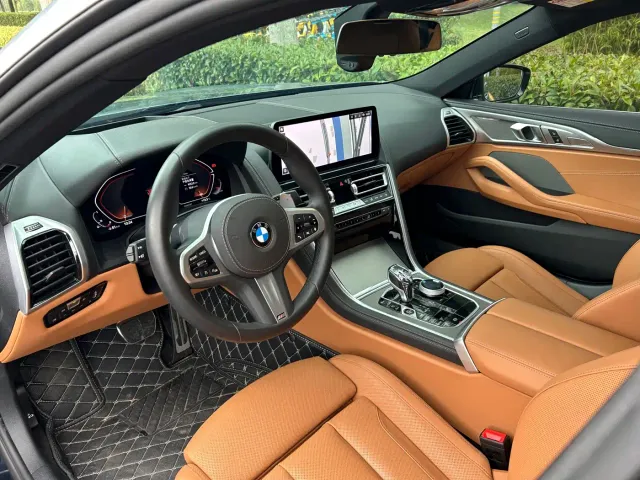 BMW 8 Series — Фото автомобиля 11