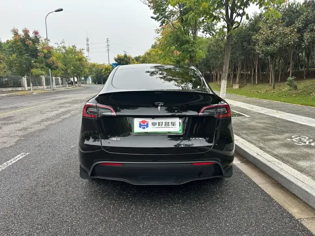 Tesla Model Y — Фото автомобиля 12