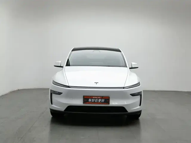 Tesla Model Y — Фото автомобиля 3