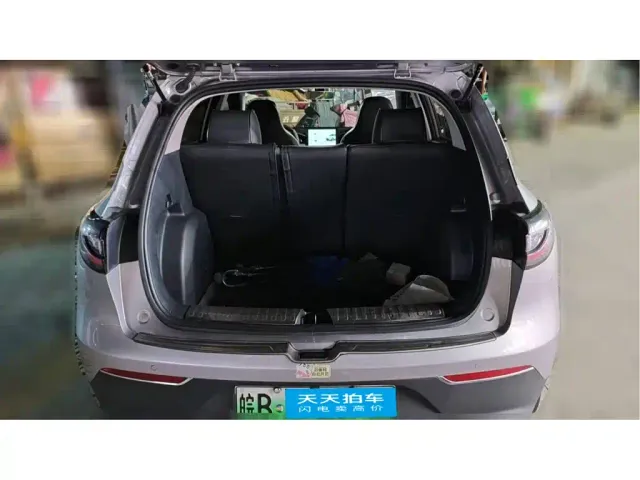 Geely Starry Wish — Фото автомобиля 4