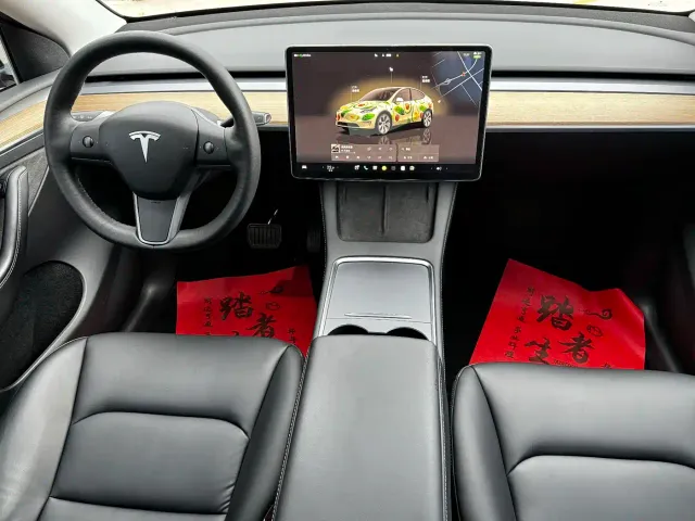 Tesla Model Y — Фото автомобиля 10
