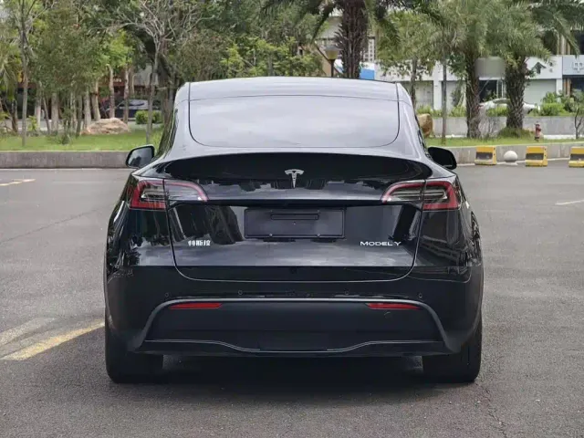 Tesla Model Y — Фото автомобиля 10