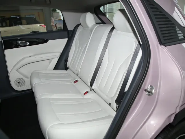 Geely Starry Wish — Фото автомобиля 18