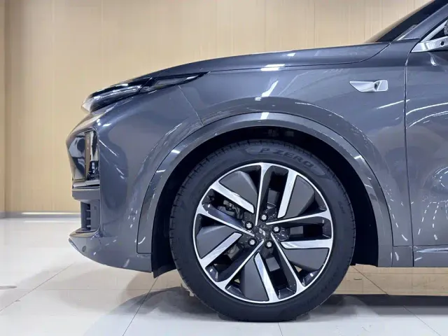 Li Auto L9 — Фото автомобиля 10
