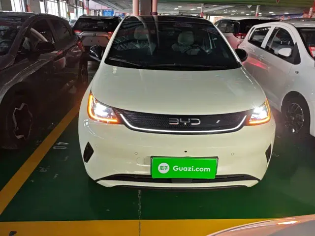 BYD Dolphin — Фото автомобиля 2