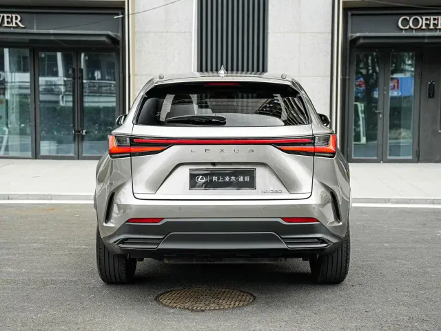 Lexus NX — Фото автомобиля 5
