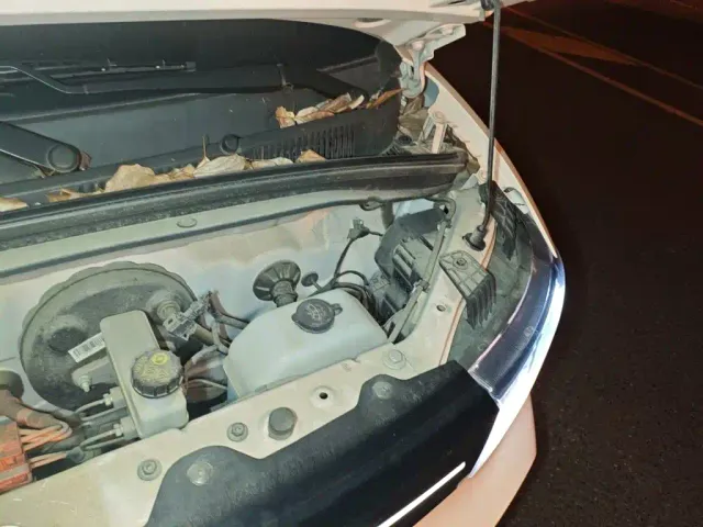 Wuling Hongguang Mini EV — Фото автомобиля 21